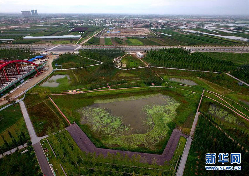 陝西省の「スポンジ都市」、豪雨も無事