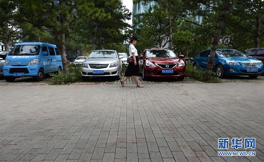 陝西省の「スポンジ都市」、豪雨も無(wú)事