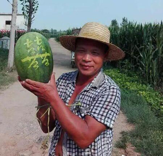 スイカに書いた達筆な字がネットで話題に　11日で3000キロ完売　河南省