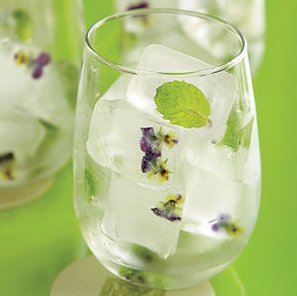 花や果物を氷の中に！夏にぴったりな涼しげレシピ