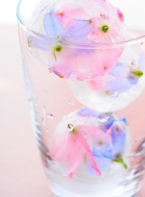 花や果物を氷の中に！夏にぴったりな涼しげレシピ