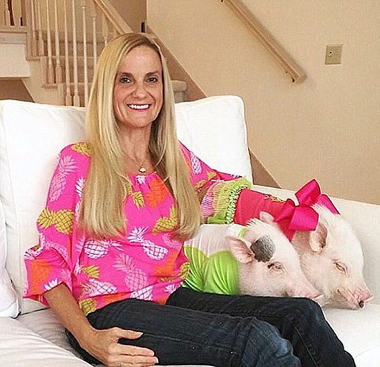 コブタ界のファッションリーダーはこのカップルに決まり！　米國