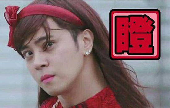 コブタ界のファッションリーダーはこのカップルに決まり！　米國