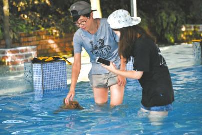 成都のペット専用プールが事前予約必須の大人気に