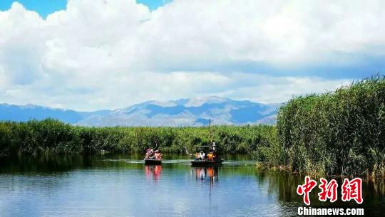 シラサギが一斉に飛び立つ壯大なシーン広がる　新疆