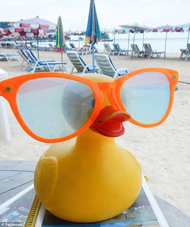 盜まれたラバーダック　世界旅行の末、無事帰宅　アメリカ