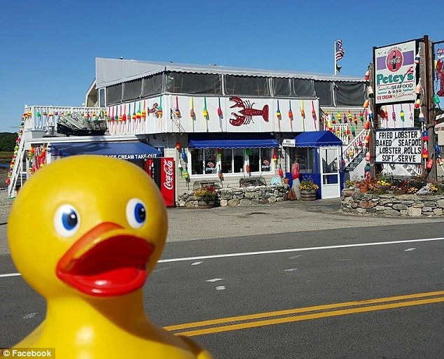 盜まれたラバーダック　世界旅行の末、無(wú)事帰宅　アメリカ