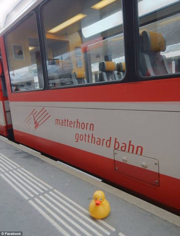 盜まれたラバーダック　世界旅行の末、無事帰宅　アメリカ