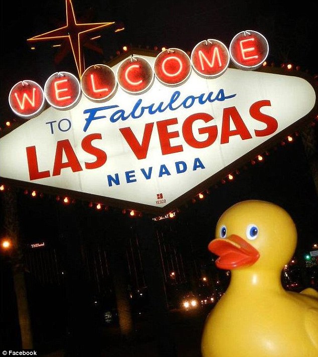 盜まれたラバーダック　世界旅行の末、無(wú)事帰宅　アメリカ