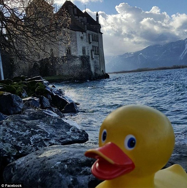 盜まれたラバーダック　世界旅行の末、無事帰宅　アメリカ