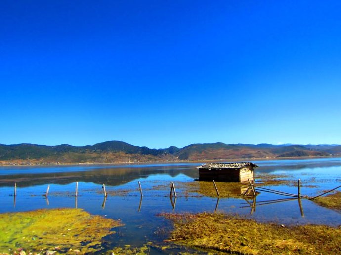 ナパ海          雲(yún)南省　シャングリラ ★  香格里拉（シャングリラ）といえば、もともとは「中甸」という地名でしたが、ジェームズ?ヒルトンの小説『失われた地平線』の中で描かれているユートピアの「シャングリラ」のモデルがこの地であると主張し、政府の認(rèn)可を得て「香格里拉」と改名したことで知られています。★  海抜3300ｍの街?シャングリラは、その豊かな自然と、街へ出ればチベット寺院や、色鮮やかな民族衣裝を著た人々が見(jiàn)られ、旅人にとってはまちがいなくユートピアで、大変魅力的な旅行先です。★  チベット仏教の寺院である松賛林寺。朝の光を浴びて黃金に色に輝く姿は仏教徒でなくても拝みたくなります。★  高山植物園は、ナパ海を見(jiàn)下ろす高臺(tái)にあり、丘そのものが植物園なっており、ビニールハウスや溫度調(diào)節(jié)されたような建物はほとんどありません。ごく自然に、足元に咲く花を楽しみます。
