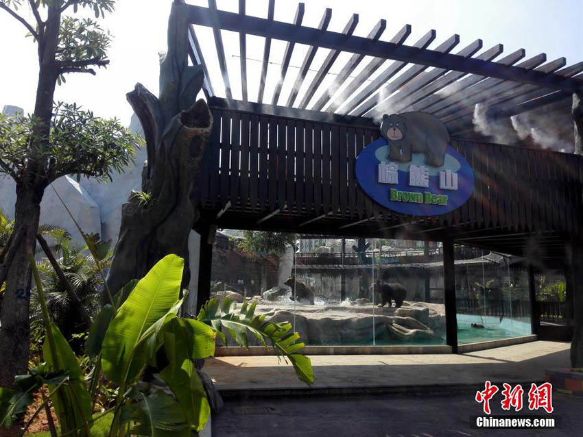 器用に魚をゲット、廈門のアラスカヒグマ