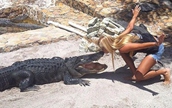 金髪美女のワニハンター、人々の安全のため100匹以上を捕獲