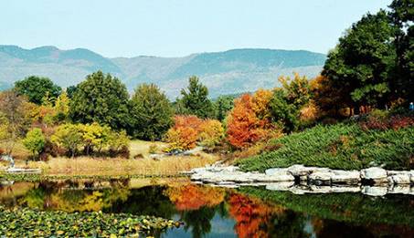 見(jiàn)れば見(jiàn)るほど美しい北京の秋空
