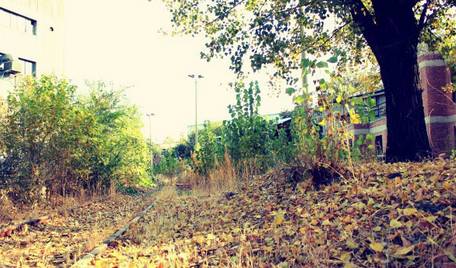 見れば見るほど美しい北京の秋空