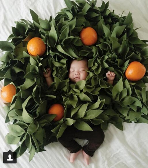 キュートすぎる！生後4ヶ月の「眠り姫」がネットアイドルに