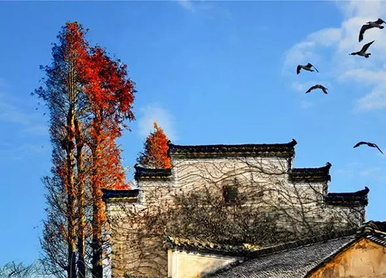 中國で最も美しい秋が見られる農(nóng)村　江西省