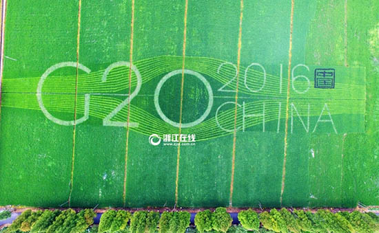 杭州で最も蕓術的な田んぼ　笑顔のキャラクターがお出迎え