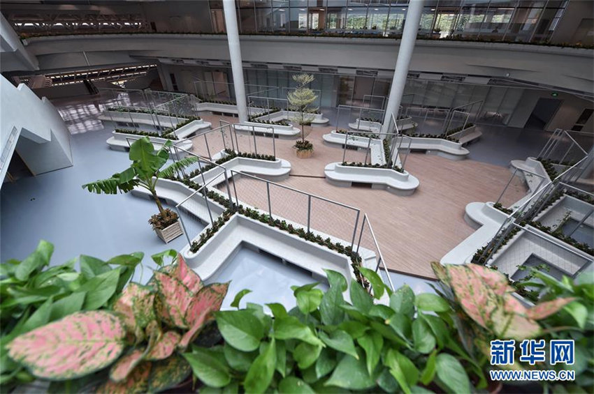 國(guó)家遺伝子バンクが間もなく正式開館へ