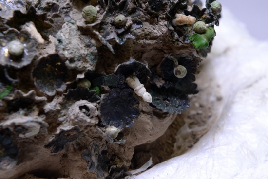 隋煬帝蕭皇后の禮冠、「土くれ」から復(fù)元