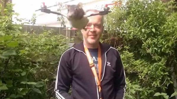 究極のチカラ発揮？動(dòng)物標(biāo)本で作ったドローン