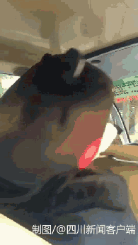 くまモンが成都にやって來た！　イベントに先立ち四川の特色を堪能