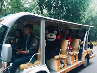 くまモンが成都にやって來(lái)た！　イベントに先立ち四川の特色を堪能