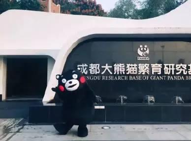 くまモンが成都にやって來た！　イベントに先立ち四川の特色を堪能