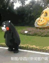 くまモンが成都にやって來(lái)た！　イベントに先立ち四川の特色を堪能