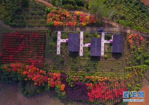 秋の色が広がる田園風景　陝西省