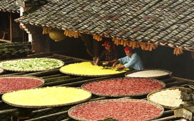 江西の風(fēng)俗「秋の天日干し」を無形文化遺産に