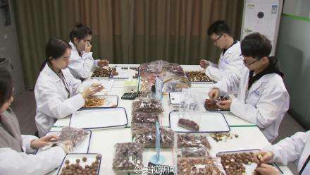 會社でおやつを休みなく食べる？　中國のある食品會社の業(yè)務(wù)