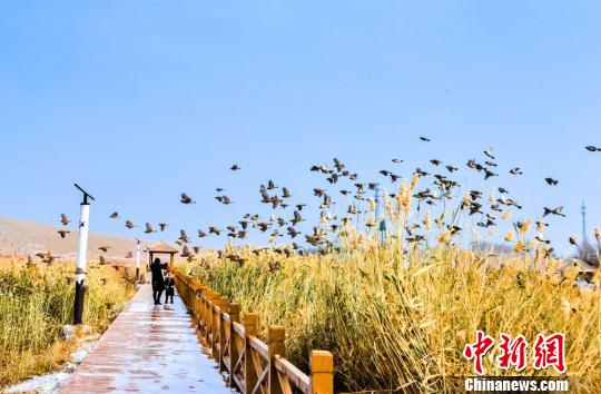 甘粛?敦煌の砂漠に初雪 ひと味違う雪景色も人気