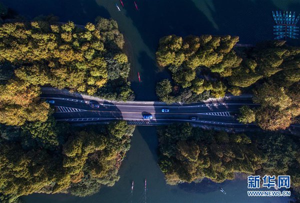 冬突入の杭州市、いまだ秋の気配が色濃く殘る