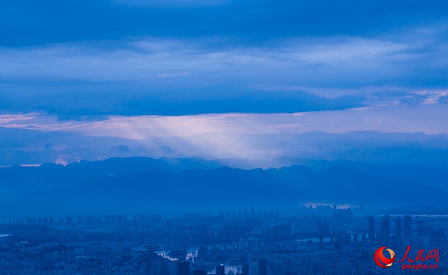 展示された作品。