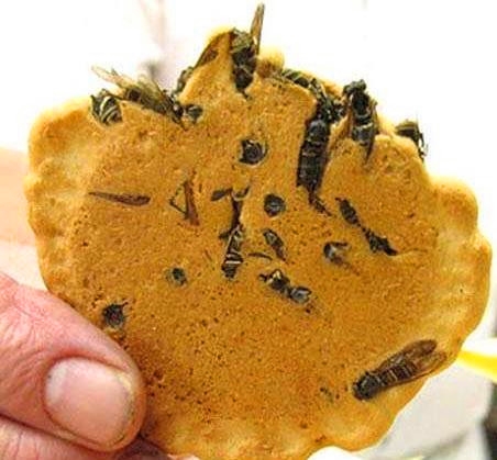 日本の仰天フード、アナタはこれを食べれるか??？