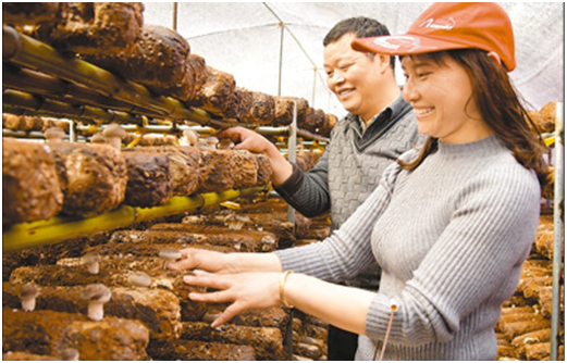 中國の確実な貧困者支援、世界に新たな構(gòu)想もたらす