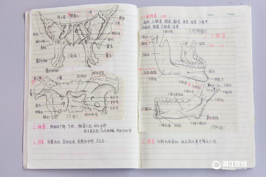 印刷のような文字に精密な手描きイラスト、驚きの解剖學(xué)ノートが話題に