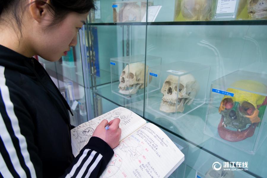 印刷のような文字に精密な手描きイラスト、驚きの解剖學ノートが話題に