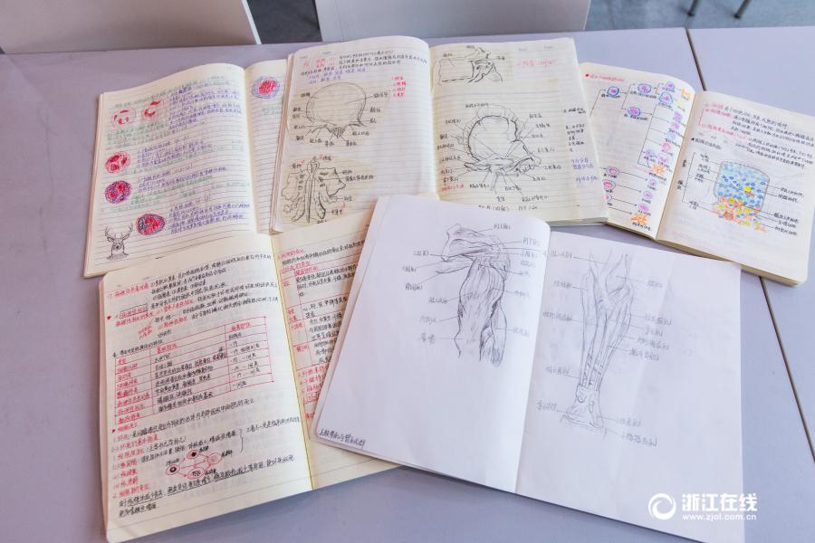 印刷のような文字に精密な手描きイラスト、驚きの解剖學ノートが話題に