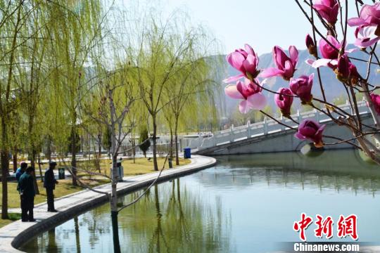 甘粛省、花々が満開に