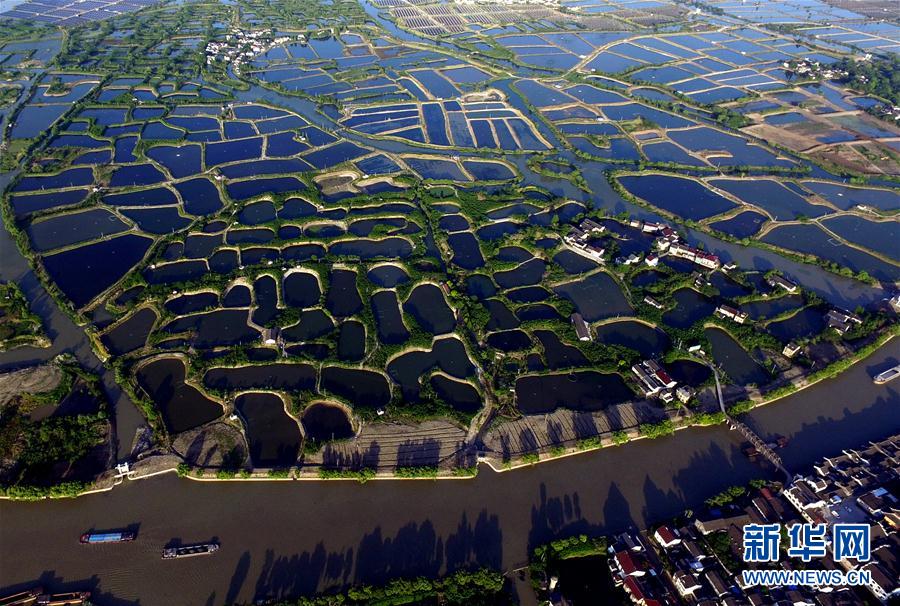 修復(fù)され美しい輝きを取り戻した桑基魚塘　浙江省