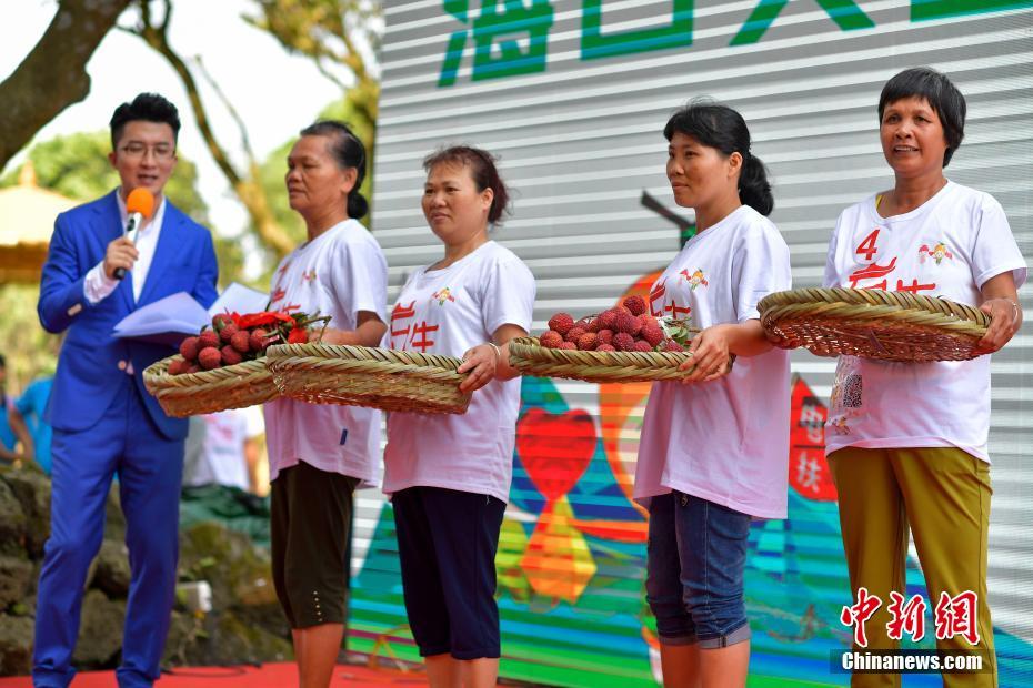 海南でライチ王決定戦開催　優(yōu)勝はニワトリの卵より大きなライチ