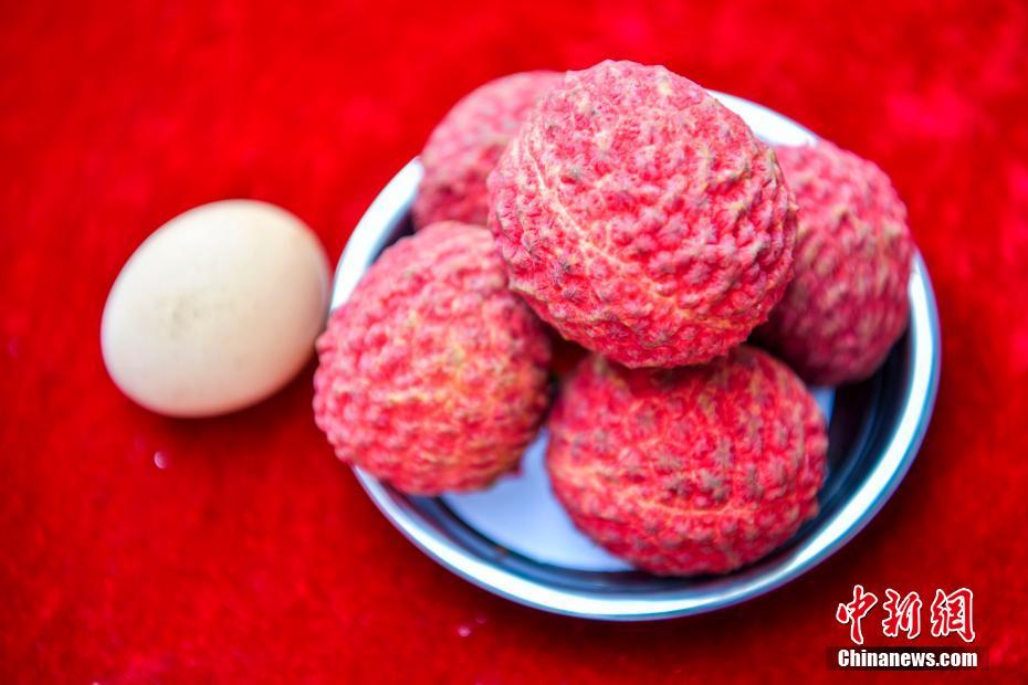 海南でライチ王決定戦開催　優(yōu)勝はニワトリの卵より大きなライチ