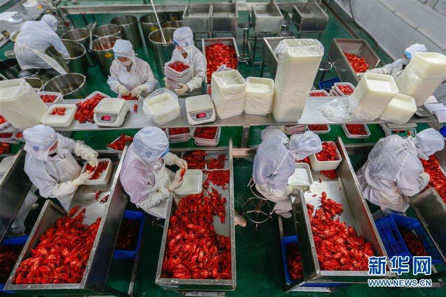 「食用ザリガニの里」、ザリガニを全世界へ発信　江蘇省