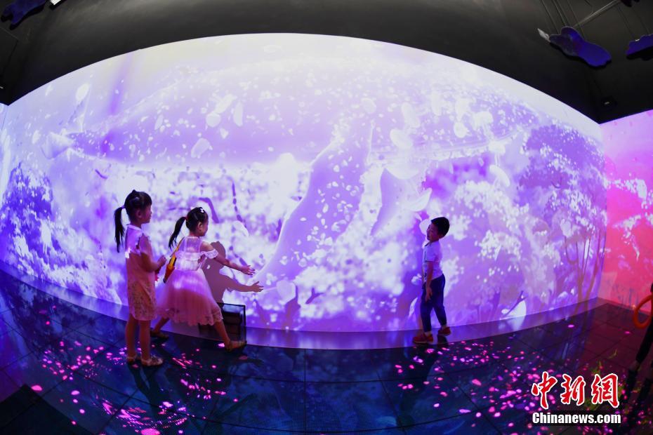 中國(guó)最大規(guī)模のクラゲ水族館登場(chǎng) 成都市 