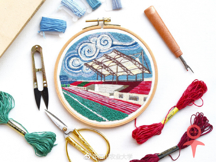 キャンパスの美しい風景を刺繍で表現(xiàn)した成都の男子大學(xué)生