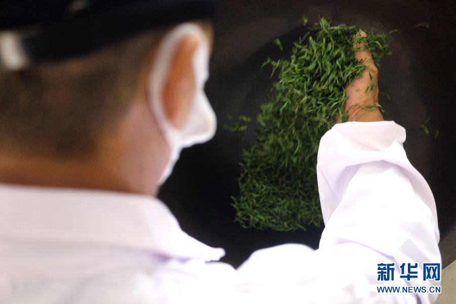 茶畑に漂う銘茶の爽やかな香り　安徽省