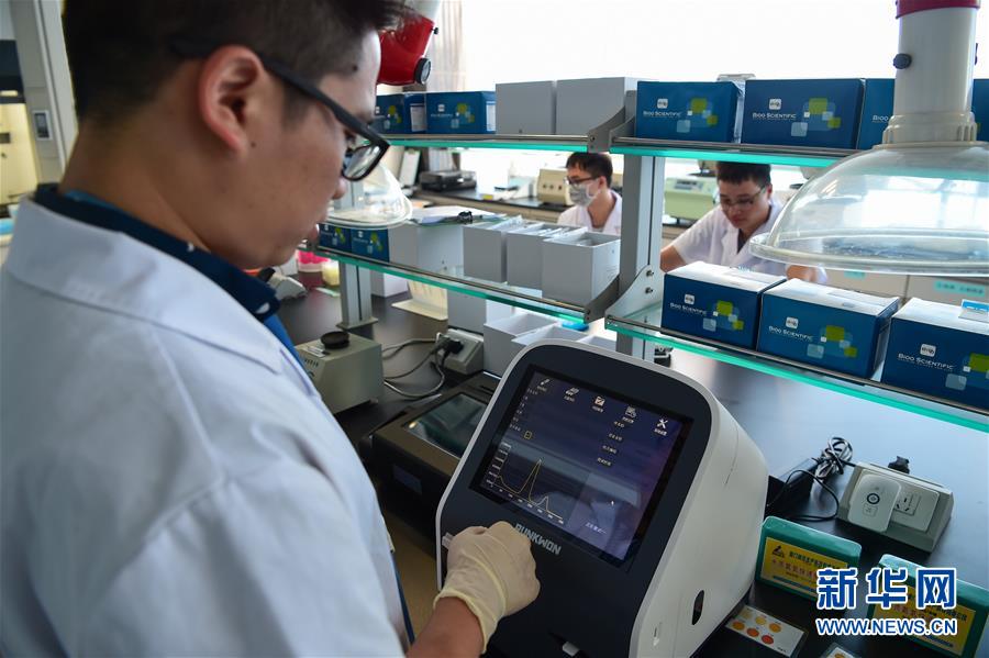 「眠らせて運(yùn)ぶ」コールドチェーンの新技術(shù)で鮮魚の長時(shí)間輸送が可能に