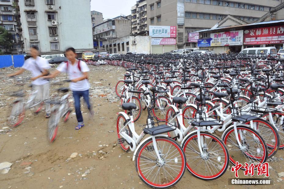 シェア自転車を守る點検作業(yè)員　1日平均60臺を修理